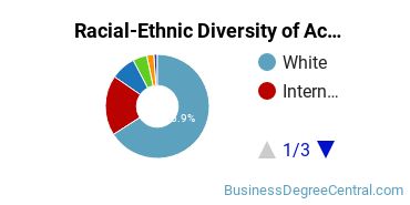 Racial-Ethnic Diversity of Accounting Majors at University of Notre Dame