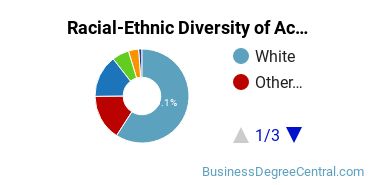 Racial-Ethnic Diversity of Accounting Majors at University of Oklahoma Norman Campus