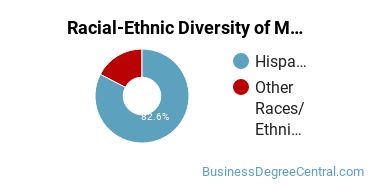 Racial-Ethnic Diversity of Marketing/Marketing Management, General Majors at University of Puerto Rico - Mayaguez