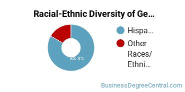 Racial-Ethnic Diversity of General Economics Majors at University of Puerto Rico - Rio Piedras
