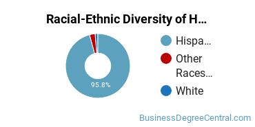 Racial-ethnic diversity of Human Resource Management majors at University of Puerto Rico-Rio Piedras