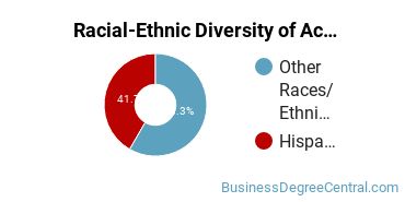 Racial-Ethnic Diversity of Accounting Majors at University of Puerto Rico - Utuado