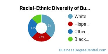 Racial-ethnic diversity of Business Administration & Management majors at University of Saint Mary