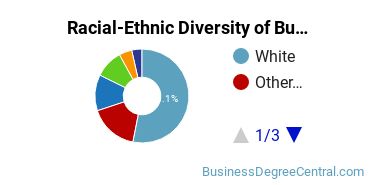Racial-ethnic diversity of Business Administration & Management majors at University of Saint Mary