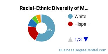 Racial-Ethnic Diversity of Marketing/Marketing Management, General Majors at University of San Diego