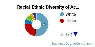 Racial-Ethnic Diversity of Accounting Majors at University of South Florida - Main Campus