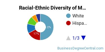 Racial-ethnic diversity of Marketing majors at University of South Florida