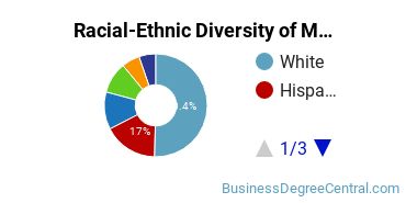 Racial-Ethnic Diversity of Marketing/Marketing Management, General Majors at University of South Florida - Main Campus