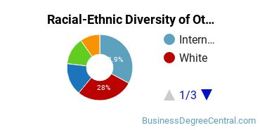Racial-Ethnic Diversity of Other Entrepreneurial and Small Business Operations Majors at University of Southern California