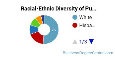 Racial-Ethnic Diversity of Public Relations Majors at University of Southern California