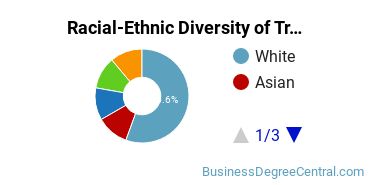 Racial-Ethnic Diversity of Transportation/Mobility Management Majors at University of Southern Mississippi