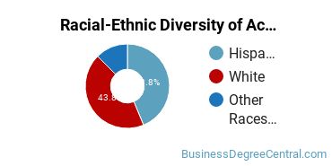 Racial-Ethnic Diversity of Accounting Majors at University of St Francis