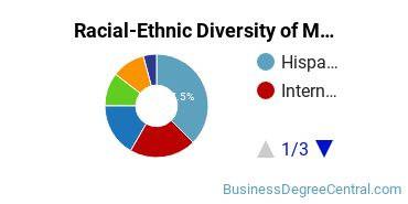 Racial-ethnic diversity of Management Information Systems majors at University of the Incarnate Word