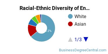 Racial-Ethnic Diversity of Entrepreneurship Majors at University of Washington - Seattle Campus