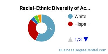 Racial-Ethnic Diversity of Accounting Majors at University of Wisconsin - Parkside