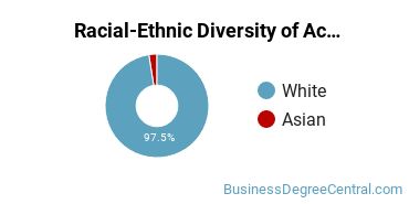 Racial-Ethnic Diversity of Accounting Majors at University of Wisconsin - Stevens Point
