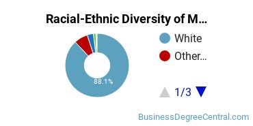 Racial-Ethnic Diversity of Marketing/Marketing Management, General Majors at University of Wisconsin - Whitewater