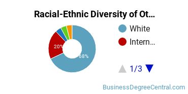 Racial-Ethnic Diversity of Other Marketing Majors at Upper Iowa University