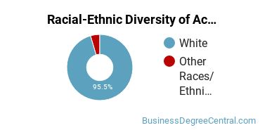Racial-Ethnic Diversity of Accounting Majors at Utah State University