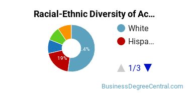 Racial-Ethnic Diversity of Accounting Majors at Utica College