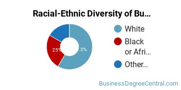 Racial-Ethnic Diversity of Business Economics Majors at Utica College