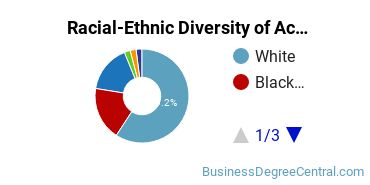 Racial-Ethnic Diversity of Accounting Majors at Valdosta State University