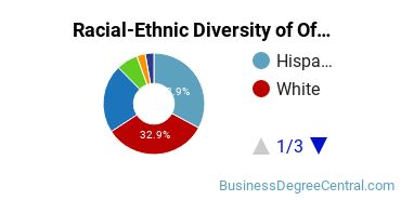 Racial-Ethnic Diversity of Office Administration Majors at Valencia College