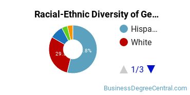 Racial-Ethnic Diversity of General Business/Commerce Majors at Victor Valley College