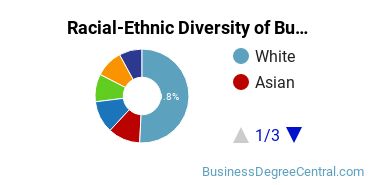 Racial-Ethnic Diversity of Business Economics Majors at Virginia Commonwealth University