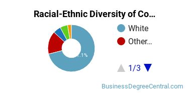 Racial-ethnic diversity of Construction Management majors at Virginia Polytechnic Institute and State University