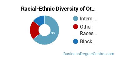 Racial-Ethnic Diversity of Other Public Relations, Advertising, & Applied Communication Majors at Virginia State University