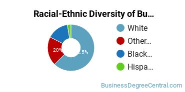 Racial-ethnic diversity of Business Administration & Management majors at Virginia Wesleyan University