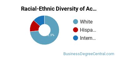 Racial-Ethnic Diversity of Accounting Majors at Wagner College