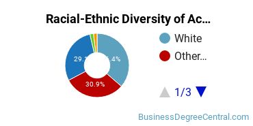 Racial-Ethnic Diversity of Accounting Majors at Walden University