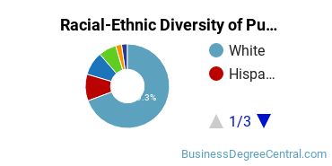Racial-Ethnic Diversity of Public Relations Majors at Washington State University