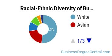Racial-Ethnic Diversity of Business Economics Majors at Washington University in St Louis