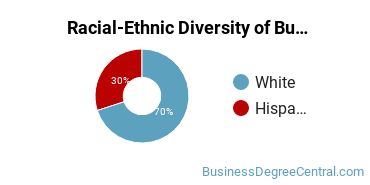 Racial-ethnic diversity of Business Administration & Management majors at Waubonsee Community College