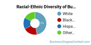 Racial-ethnic diversity of Business Administration & Management majors at Wayland Baptist University