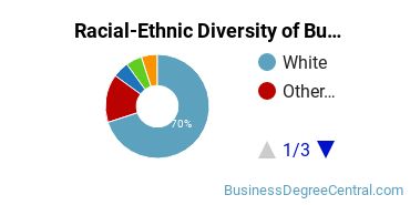 Racial-ethnic diversity of Business Administration & Management majors at Wayne State College