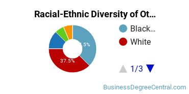 Racial-Ethnic Diversity of Other Accounting and Related Services Majors at Webster University