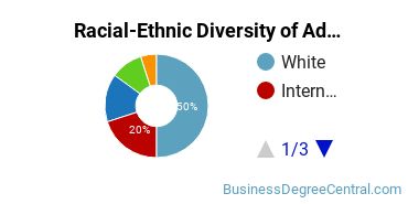Racial-Ethnic Diversity of Advertising Majors at Webster University