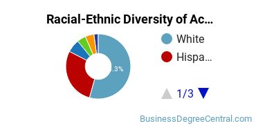 Racial-Ethnic Diversity of Accounting Majors at West Texas A&M University
