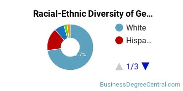 Racial-Ethnic Diversity of General Business/Commerce Majors at West Texas A&M University