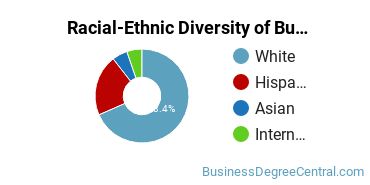 Racial-Ethnic Diversity of Business Economics Majors at West Texas A&M University