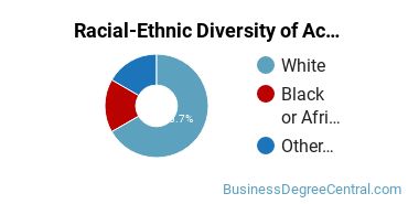 Racial-Ethnic Diversity of Accounting Majors at West Virginia University Institute of Technology