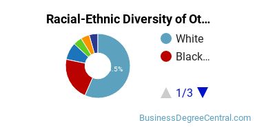 Racial-Ethnic Diversity of Other Marketing Majors at Western Carolina University
