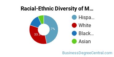 Racial-ethnic diversity of Management Information Systems majors at Western Connecticut State University