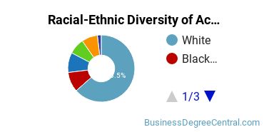 Racial-Ethnic Diversity of Accounting Majors at Western Illinois University