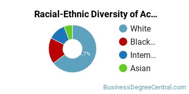Racial-Ethnic Diversity of Accounting Majors at Western Illinois University