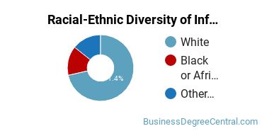 Racial-Ethnic Diversity of Information Resources Management Majors at Western Michigan University